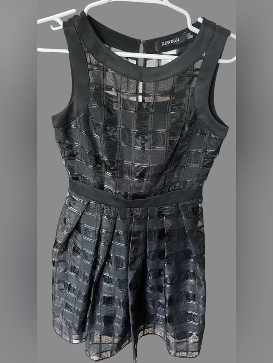 Ellen Tracy Dresses & Skirts - Ellen Tracy Black Sleeveless Sheer-Check Fit & Flare Dress